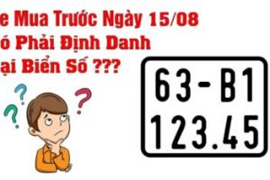 Cách Đăng Ký Biển Số Định Danh Chi Tiết Mà Ai cũng Phải Biết